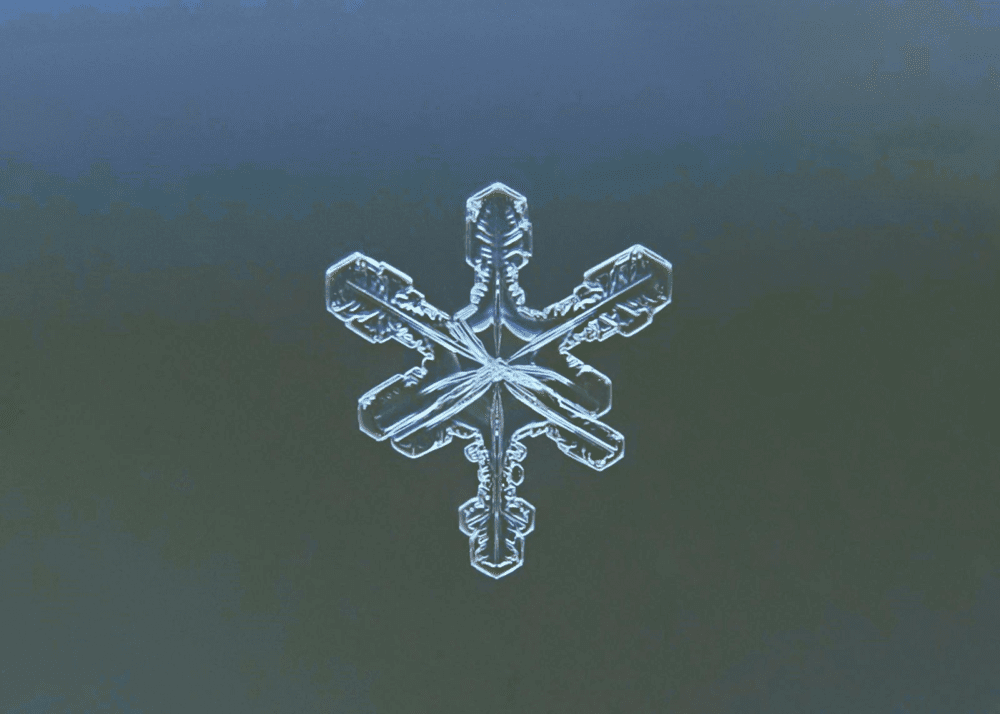 Winterize