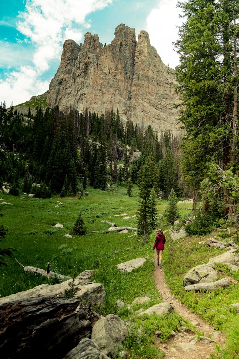 person in red jacket standing on green grass field near green trees during daytime